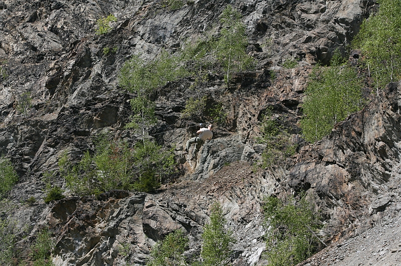 Original image